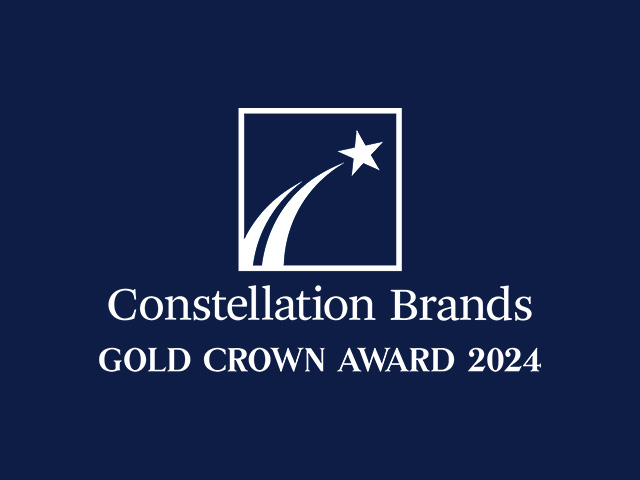 Portfolio BonBright Constallation Logo 2